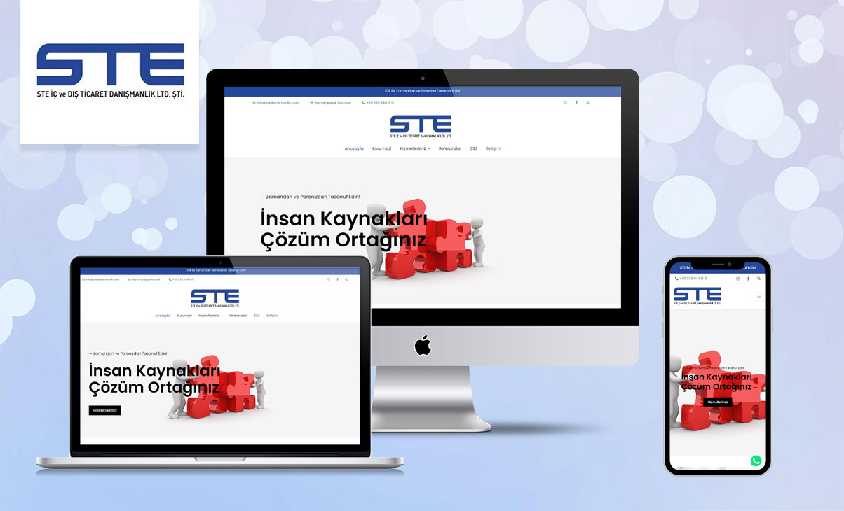 Ste Danışmanlık Web Sitesi Tasarımı